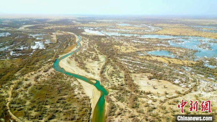 新疆巴州尉犁县依托"三北"防护林体系建设,塔里木河干流生态综合治理