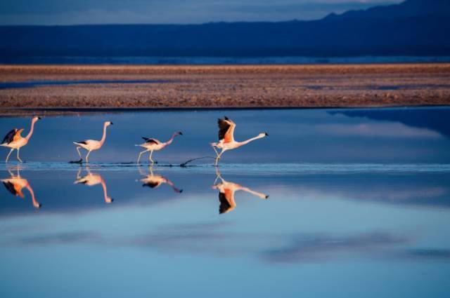 智利感受世界最细长国家的独特魅力