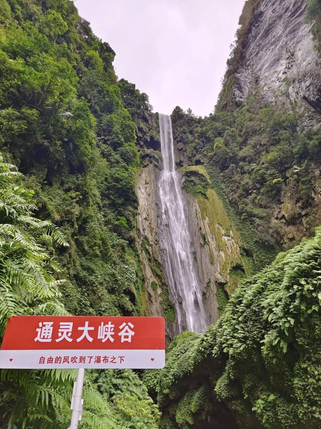 靖西,德保,平果……广西多地新增直达深圳列车!_瀑布_旧州_鹅泉