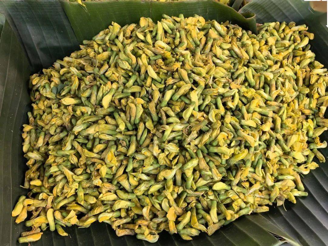 【有一种叫云南的生活】快来尝一口"春"的味道_白花_蔬菜_野菜