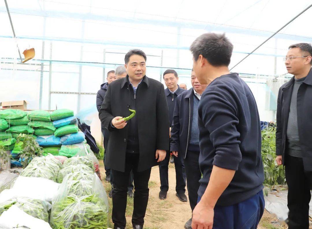 今天,魏晓奎连赴三地调研!_美乡村_产业_情况