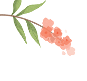 银河小说有生的日子作者:苏子游"有生的日子,天天快乐,别在意生日怎么