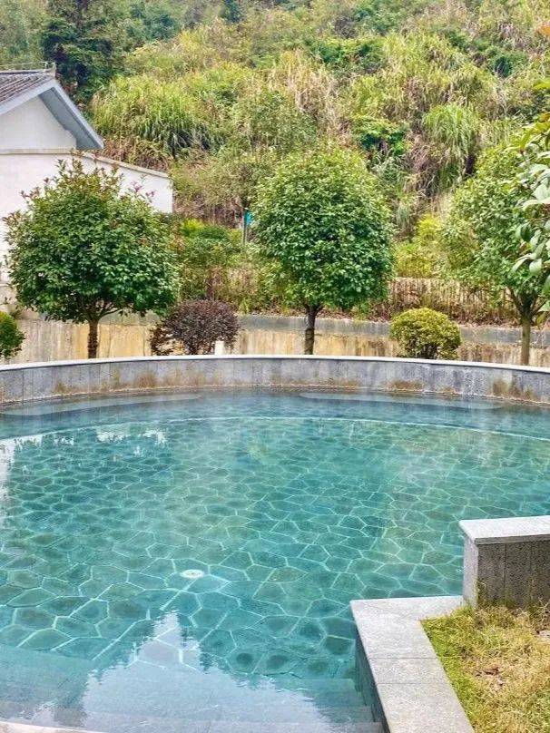 政府补贴599郴州十星赏花之旅赏莽山五指峰杜鹃花汝城油菜花邂逅白廊