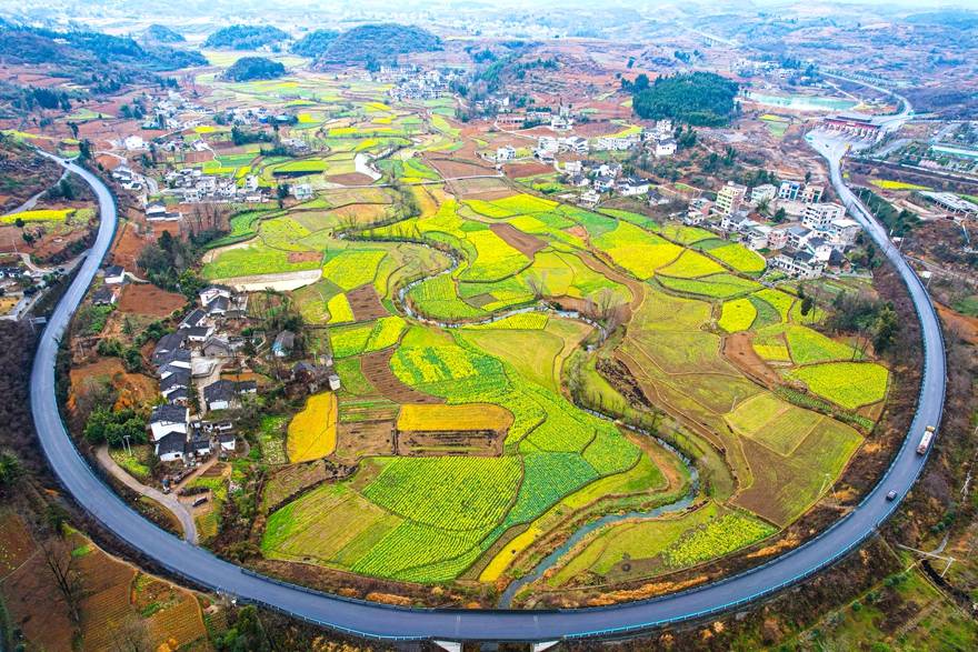 金灿灿黔西市甘棠镇千亩油菜花海等你来春游