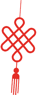 乐雅苑王皓轩春节趣事