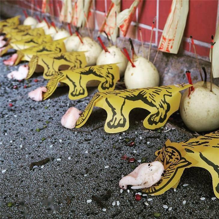 白虎一般用黄纸做成,身上带有黑纹,口有撩牙.