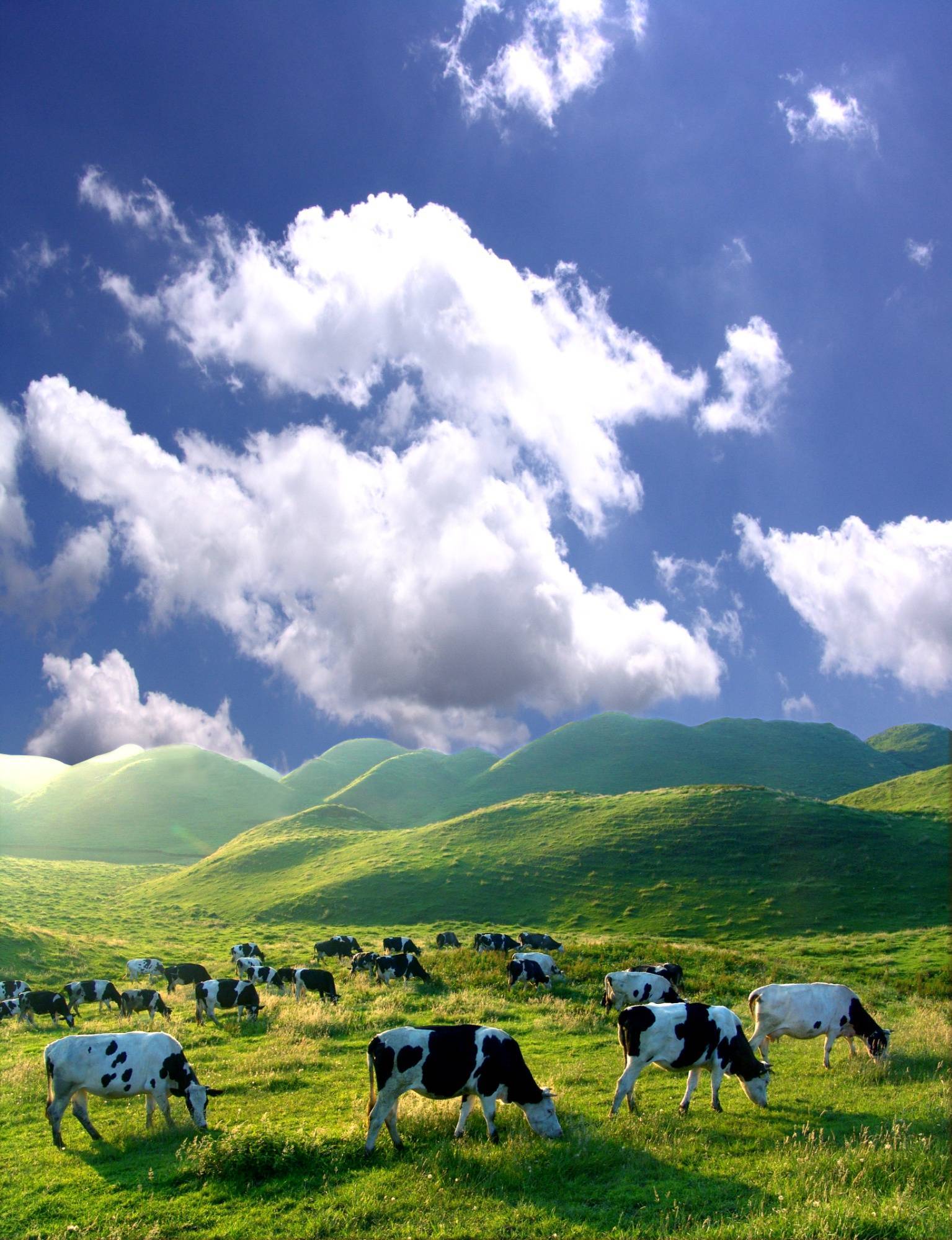 湖南城步一企业获中国牧场草地养护服务企业一级资质认证