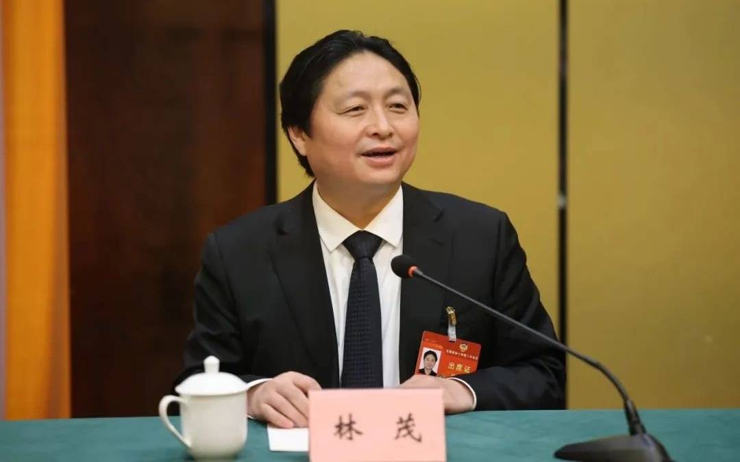 全国政协委员林茂：建议推进“双一流”美术院校与AI机构合作_国家_人工智能_企业