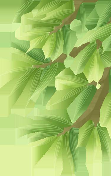 【县区风采】丨睢宁县司法局积极参与2024年徐州市暨