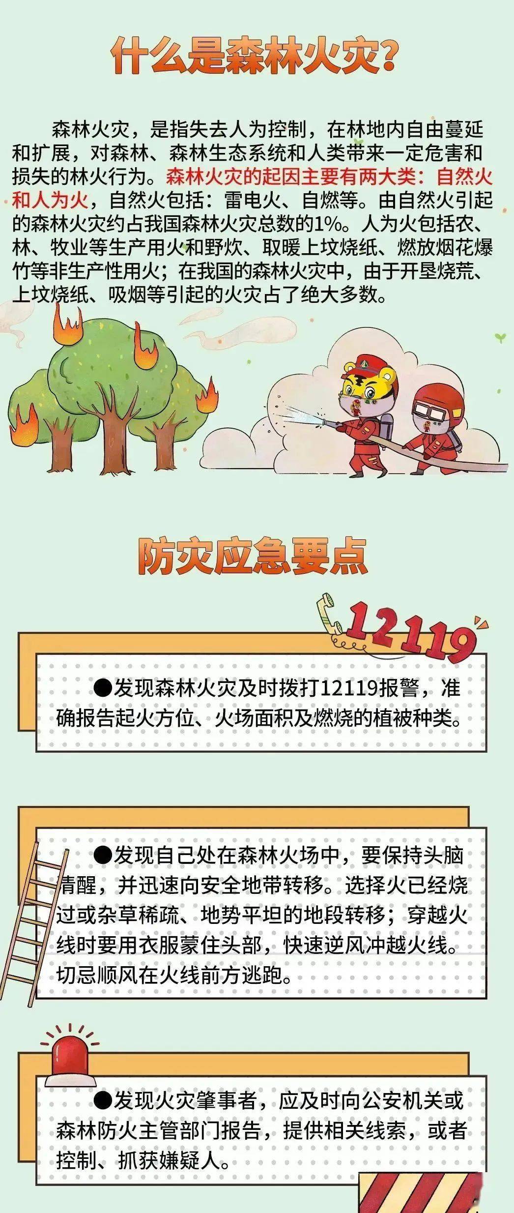 春季防火关键期 一张长图了解森林防火安全知识