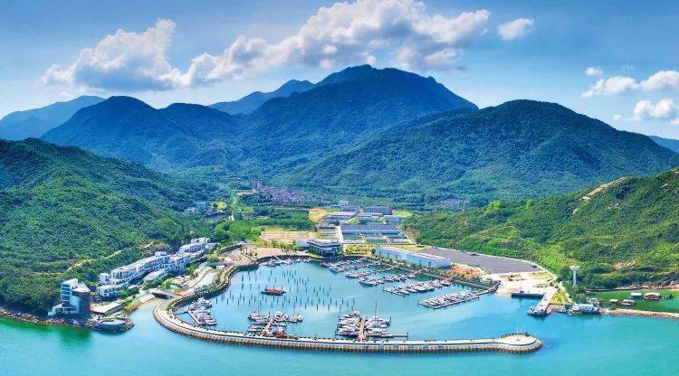 shenzhen dapeng new district: a magnet for gen