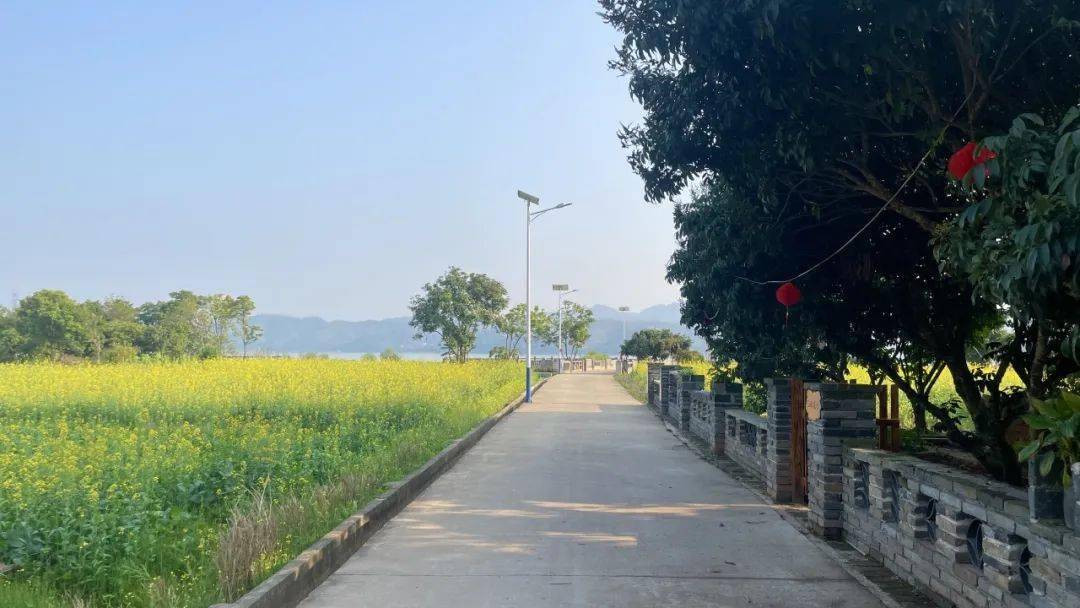 在这赏花踏春的好时节,濛江镇诚邀您,一头扎进春天里.