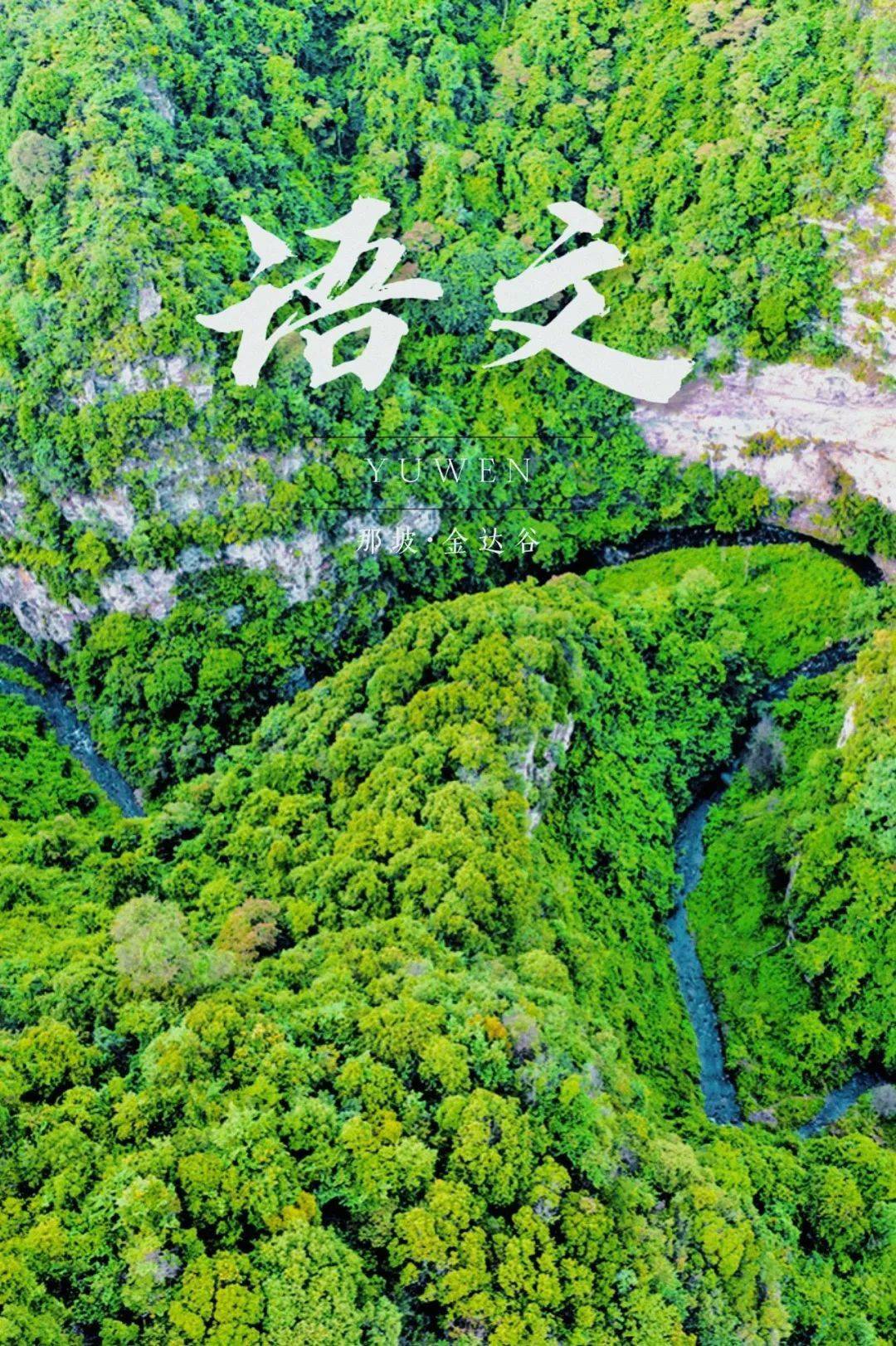 百色版语文课本封面有亿点点美