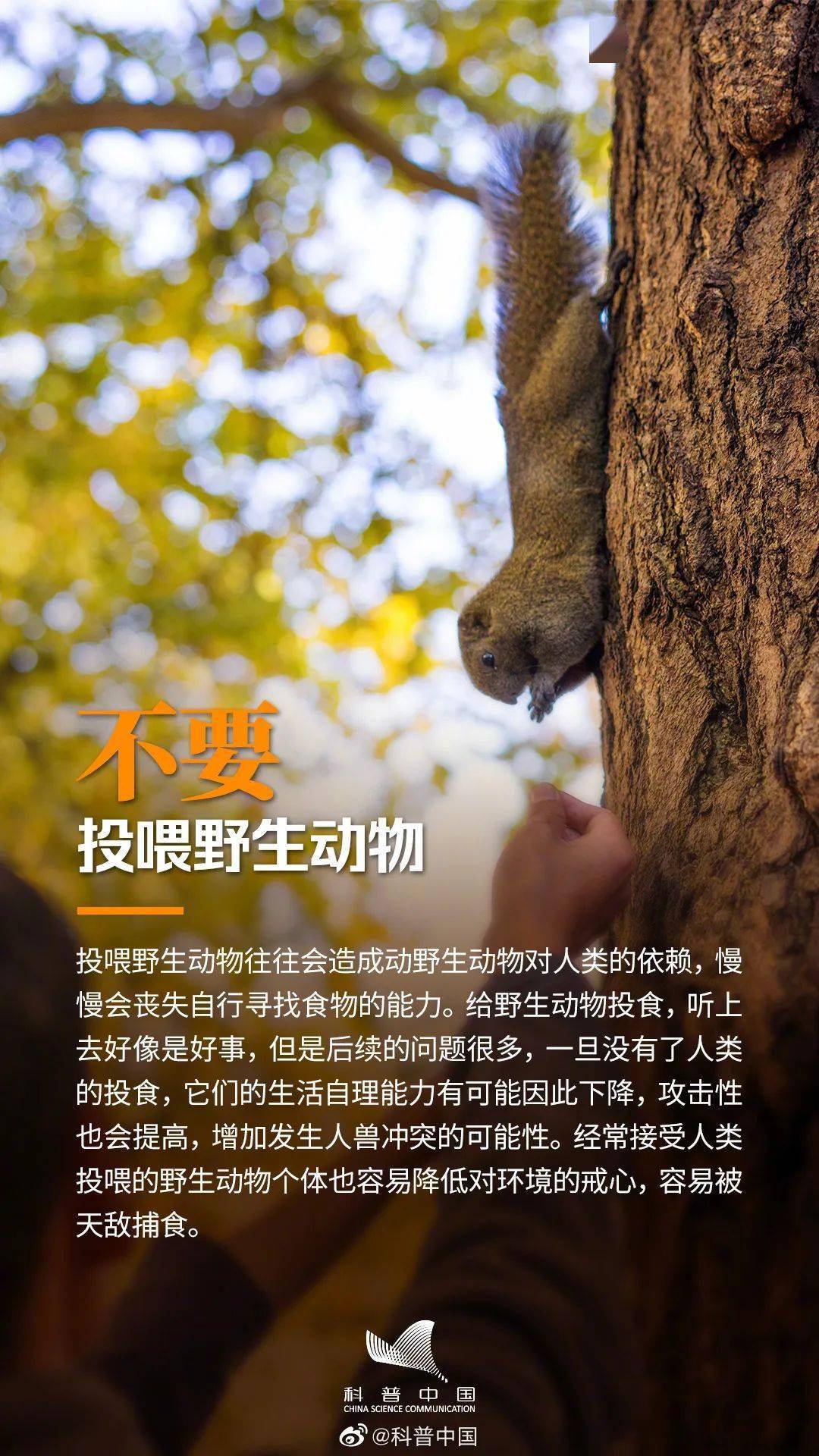 生物多样性 | 如何与野生动植物和谐相处?_生死_来源_一举一动