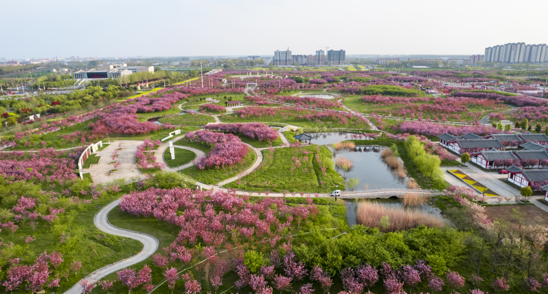 蚌埠天气24小时预报