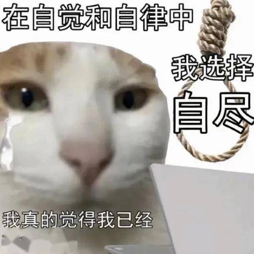 我来修理你丨第937期喵表情包