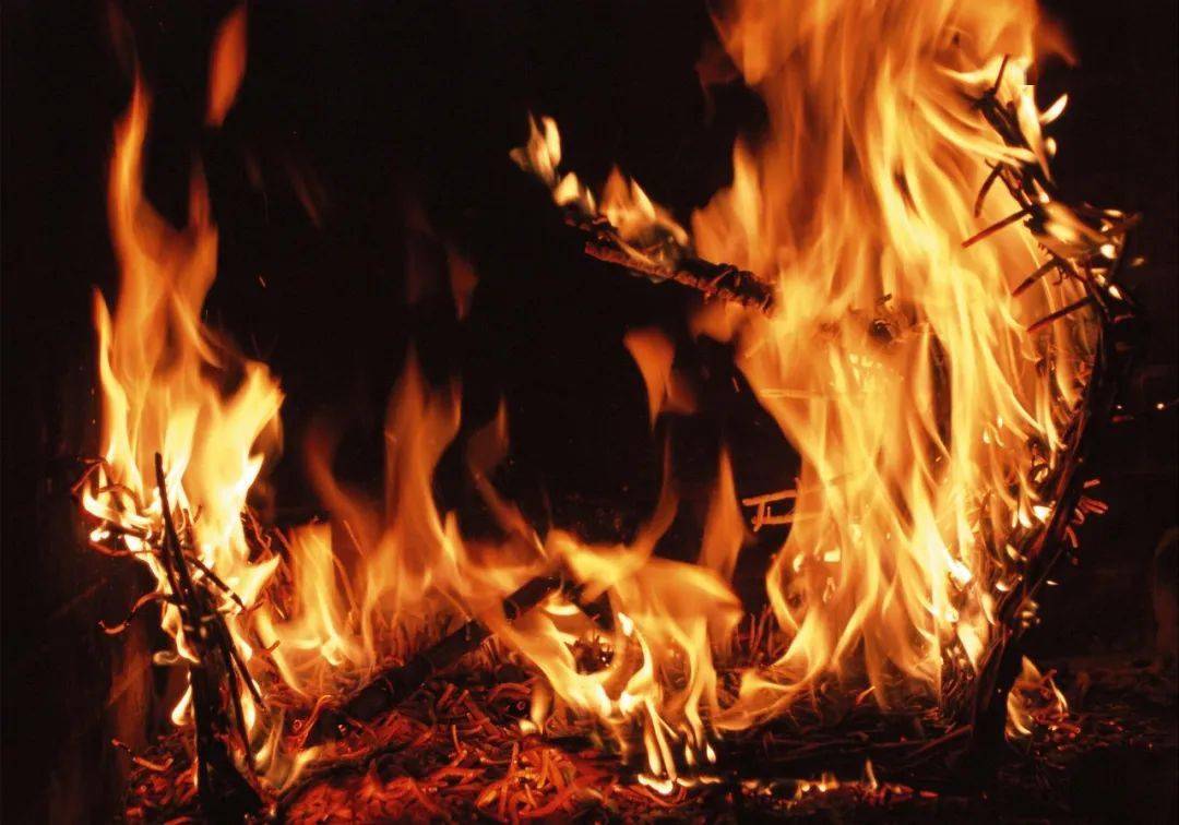 春季防火别大意,这些森林防火知识请收好~_火灾_火源_损失