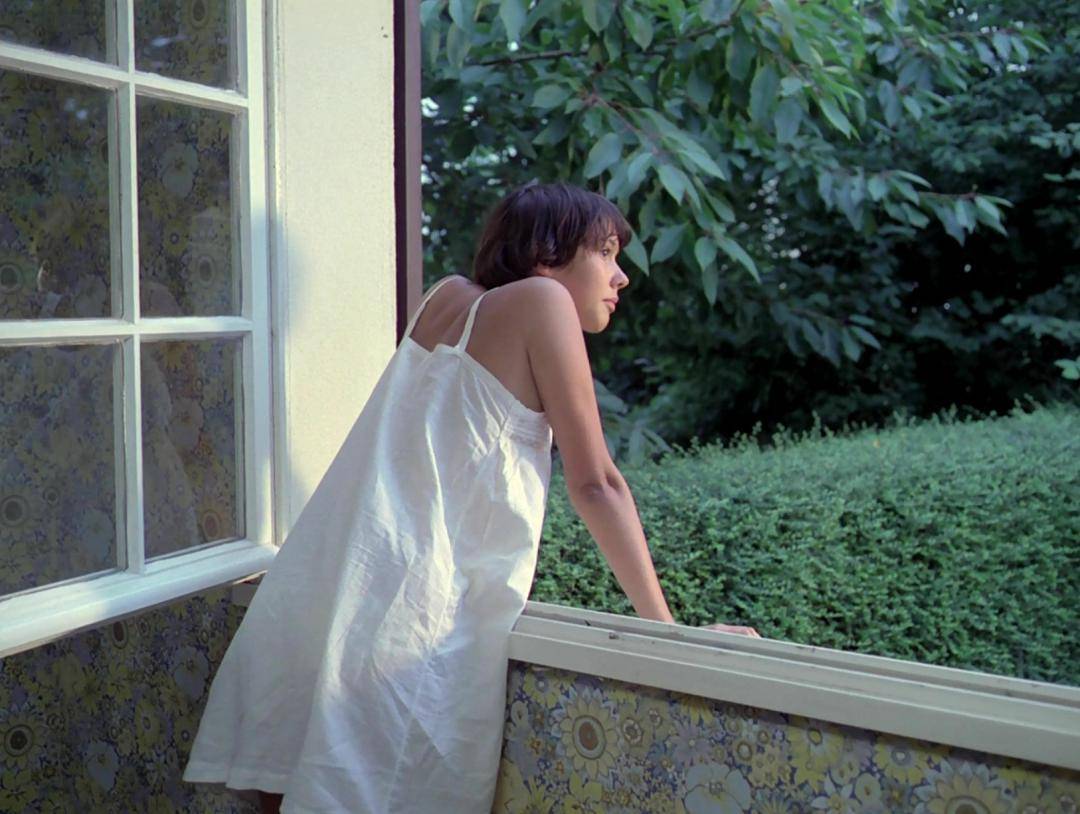 《青木瓜之味》