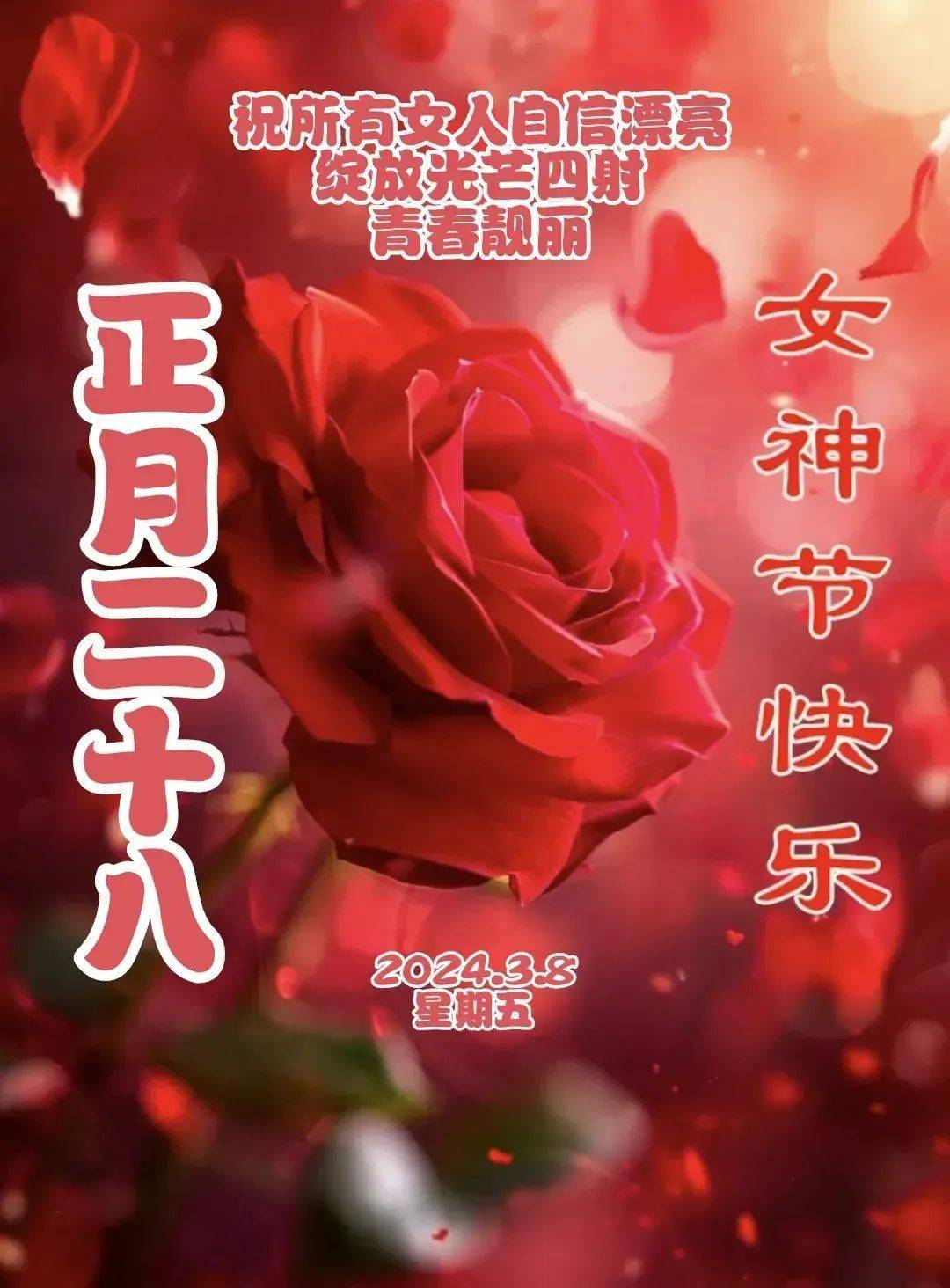 今日三八女神节