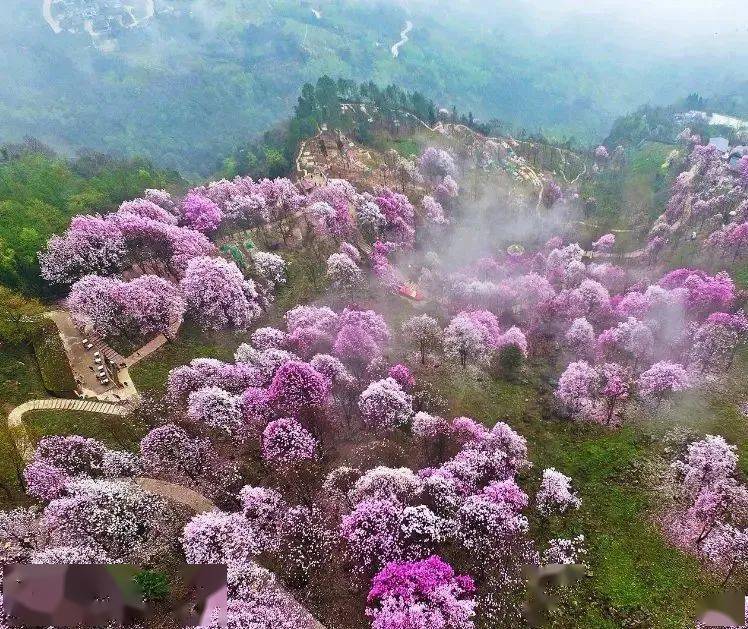 原来你是这样的北川