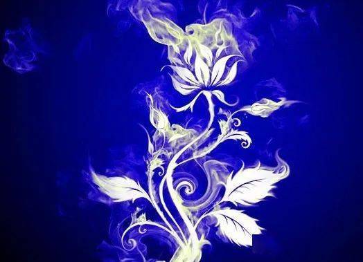 春日有约灼灼芳华致敬蓝焰玫瑰