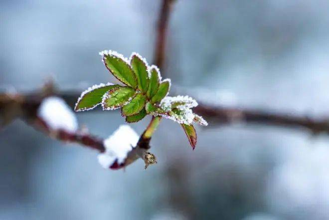 春在雨雪消之时