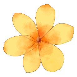 快去拍三台这几片花海美爆了油菜花樱花桃花有福利