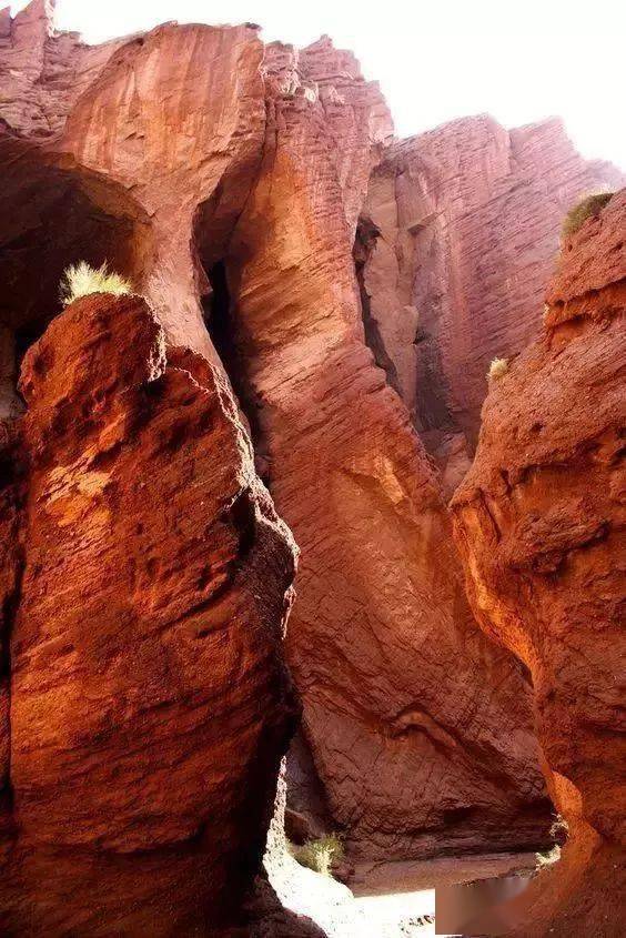 中国8大国家公园让全世界都惊艳