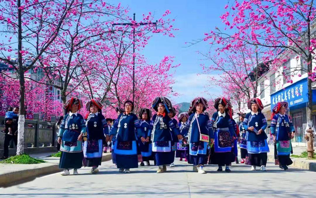 节庆玉溪丨新平县2024年赏花节暨千桌万人磨盘宴系列活动指南