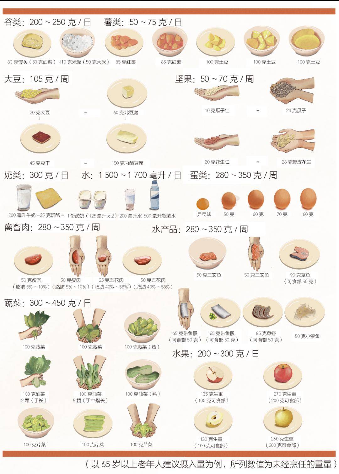 蛋白质_功能_食物