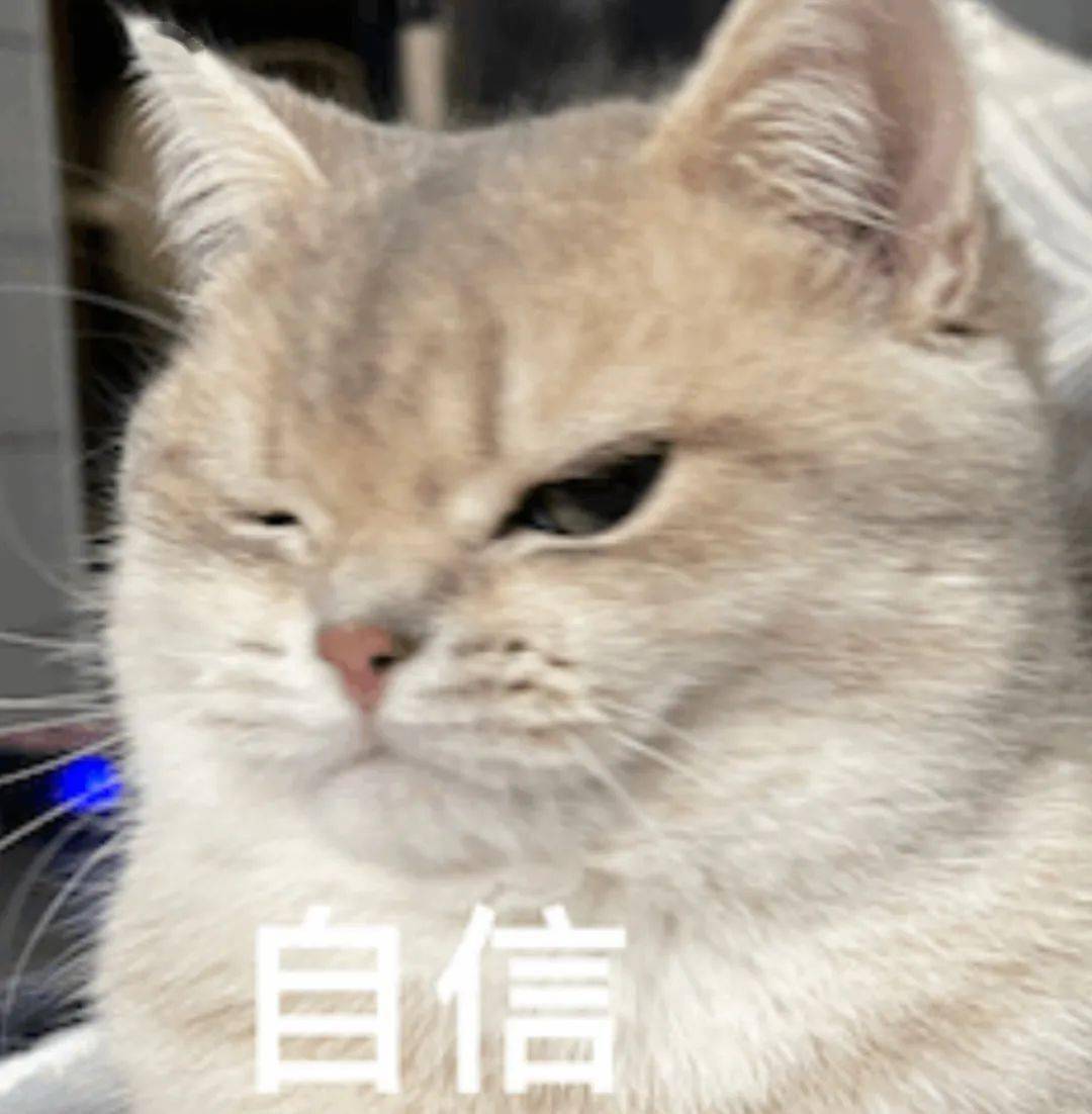 假装自信真的很有用上热搜网友超有效我就这样变自信的