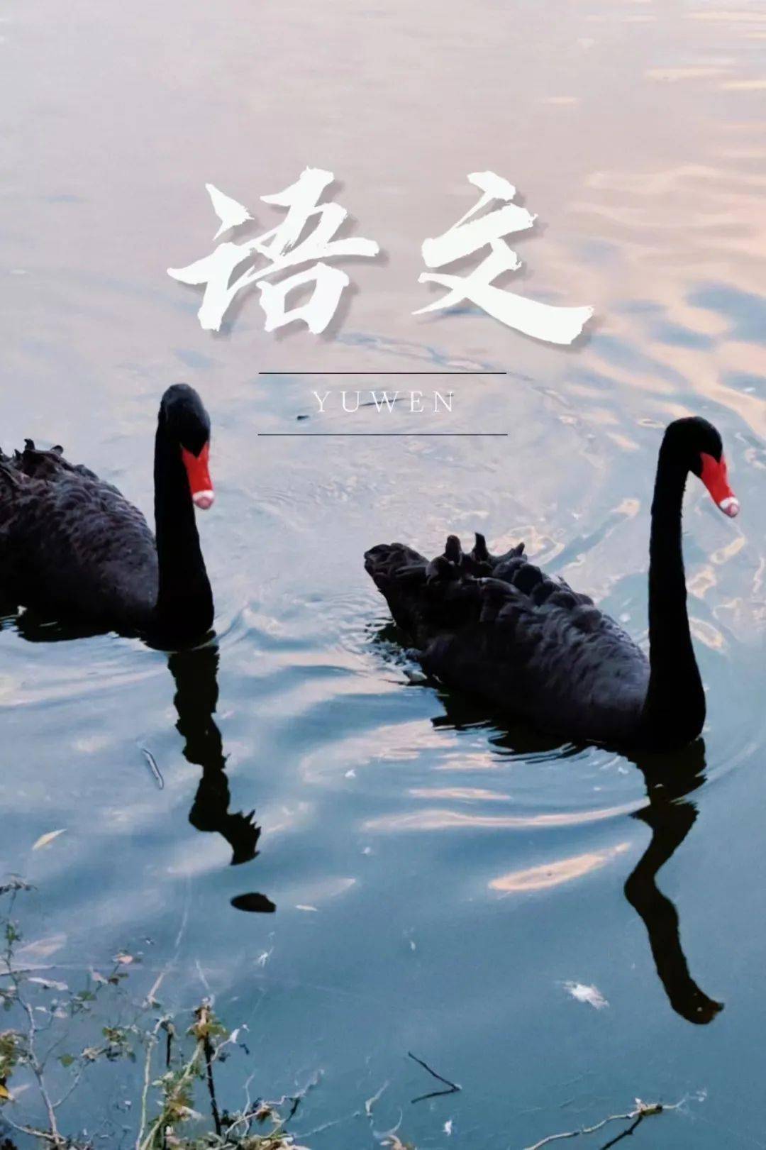 万物_侯竣_东风