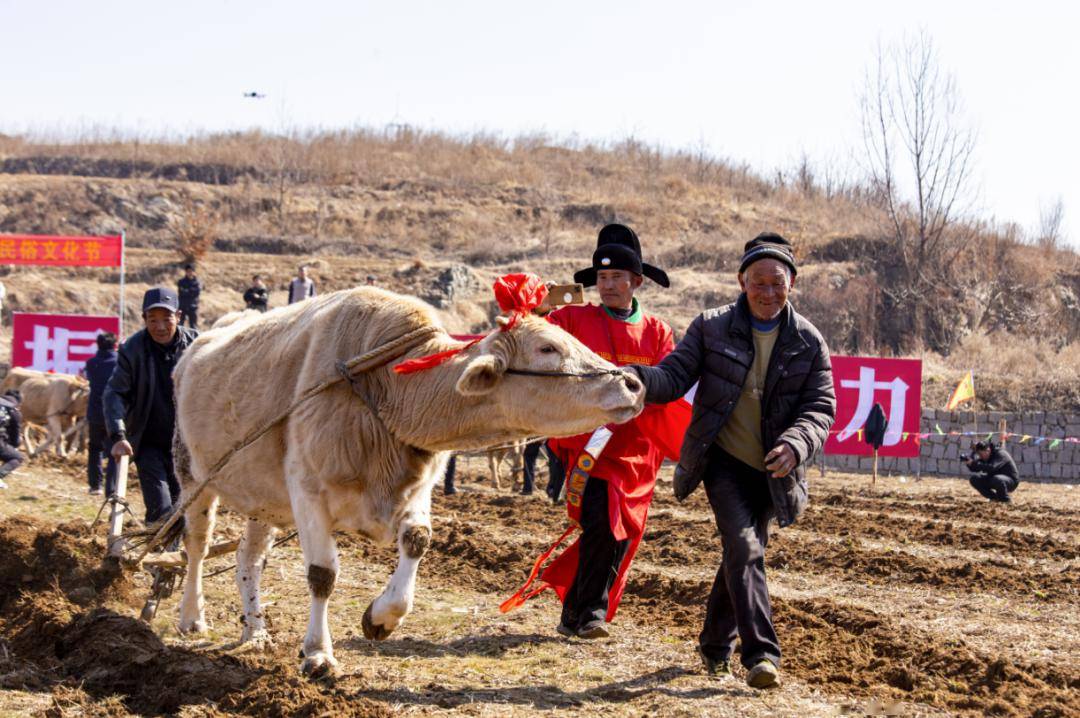 结婚烧犁铧图片