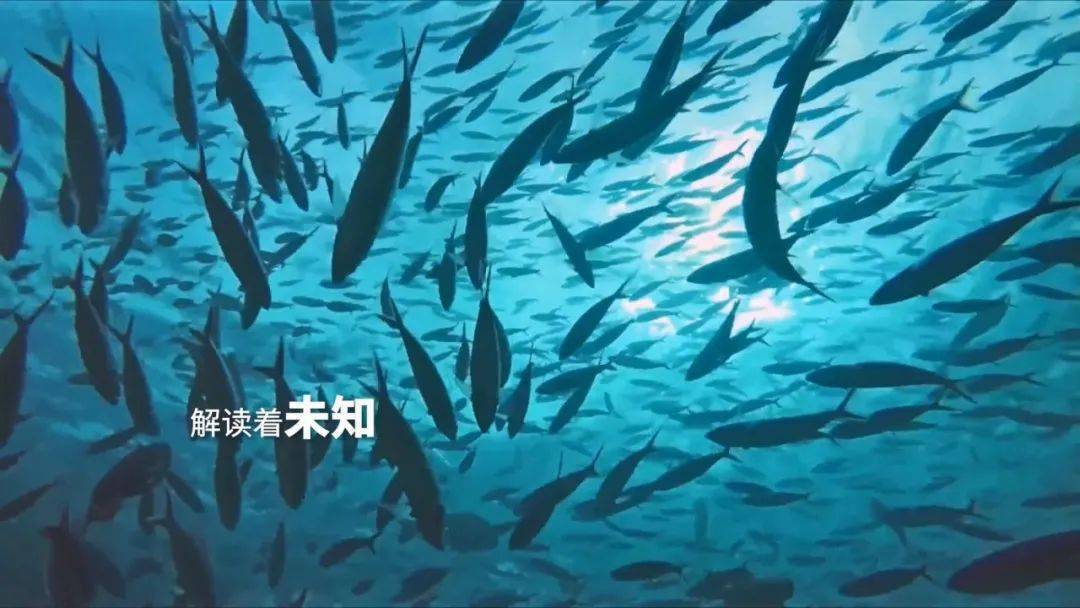 海洋是人类社会可持续发展的命脉,海洋科研是推动海洋可持续发展的