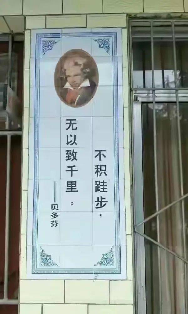 假语录和假努力有时候很像,主打的就是自我感动,不经意间又赔了夫人又