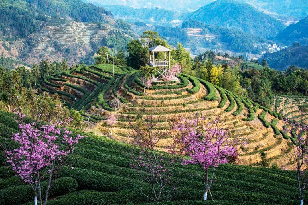 赴春约踏青赏景向着快乐出发