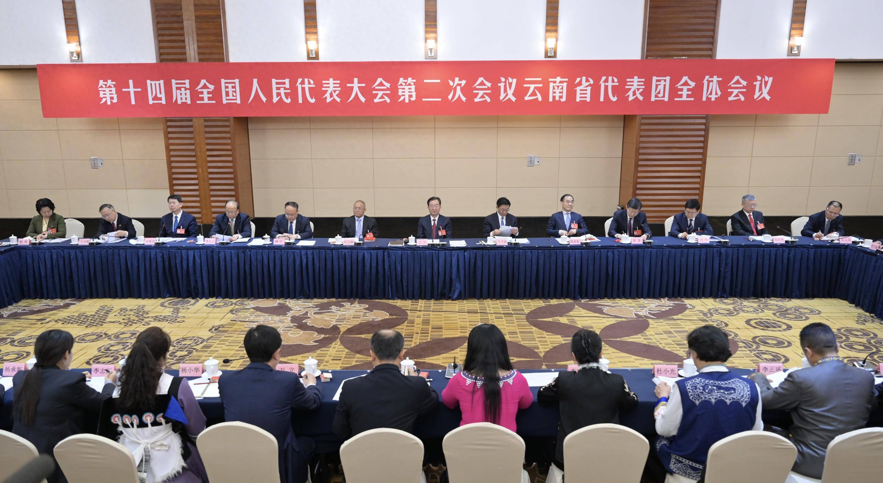 两会丨云南代表团举行开放团组会议_新华社_才扬_王婧