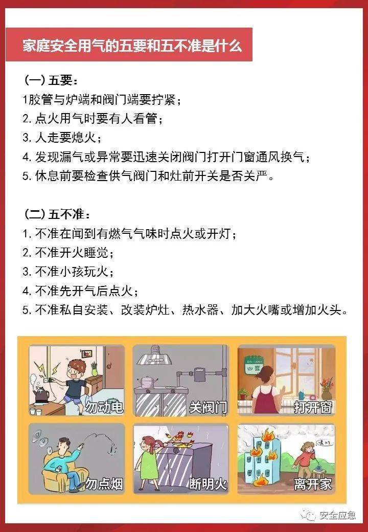 四不伤害是指什么图片