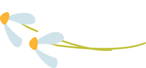 03科技兴园打造化橘红专属"身份证"2023年12月,化州市化橘红国家现代