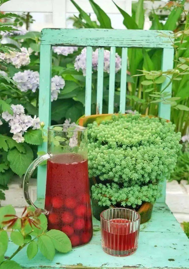 但是只要您有时间和耐心它们将带给您满园春色与毛地黄一起的金色庆典