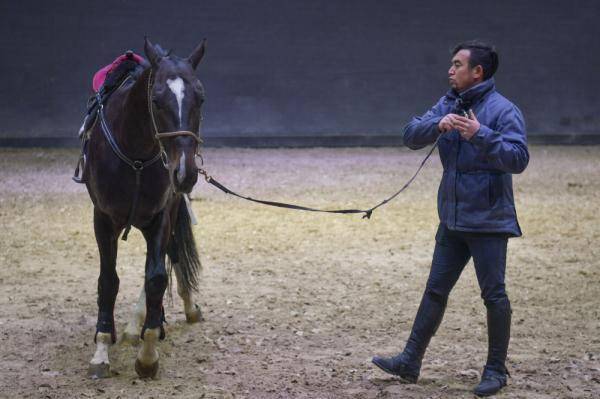 汗血马背上的萌宝骑手_希尔扎提_克拉_爸爸