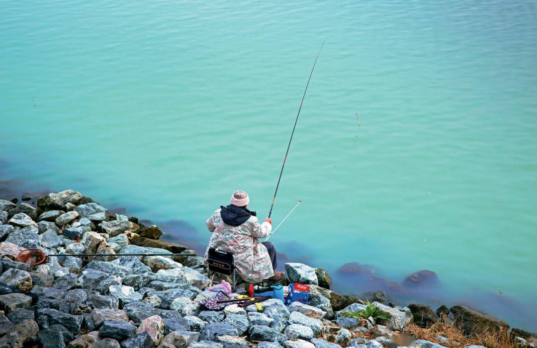 南方冬季钓鲤技巧大公开_鲤鱼_钓鱼人_时候