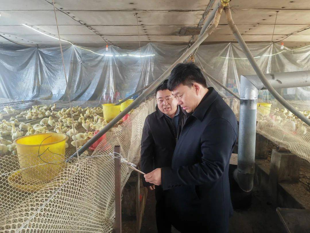 张志文对我县开春即开工部分产业项目建设进行调研并主持召开推进会议