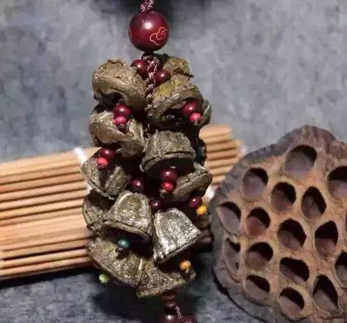 金钟菩提车挂//五,治便秘:木腰子//功效:木腰子主治痔疮,便秘,将