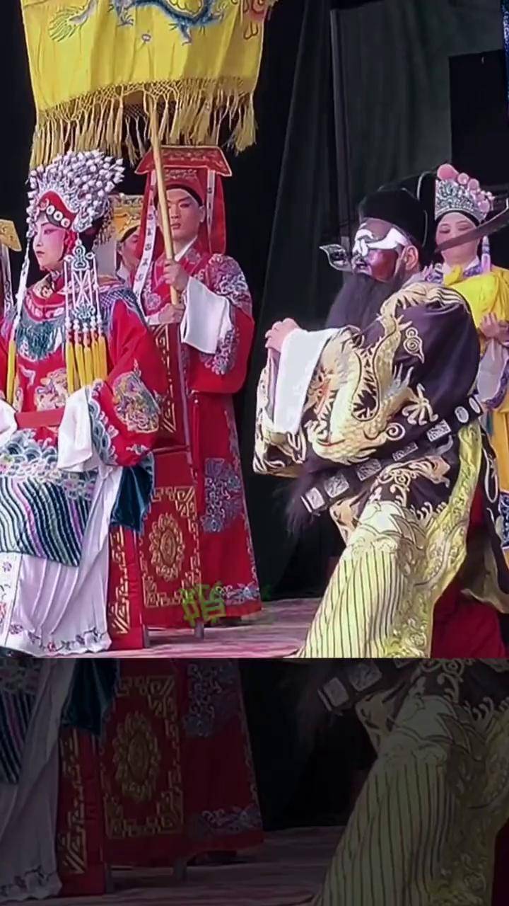豫剧下陈州打銮驾李斯忠老师的经典唱段 音配像