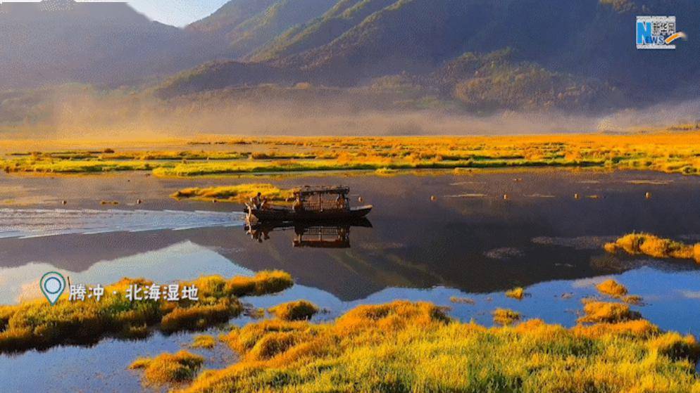 条条草排浮于湖中,无数水鸟在水面上翩翩起舞,乘坐木船或一叶草排