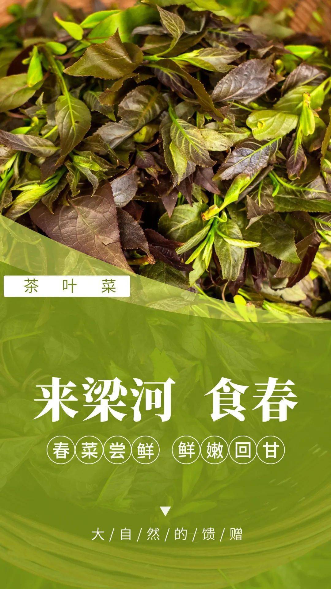 茶叶菜 /香椿的食用方法有很多,可以香椿拌豆干,香椿蛋饼,炸香椿鱼儿
