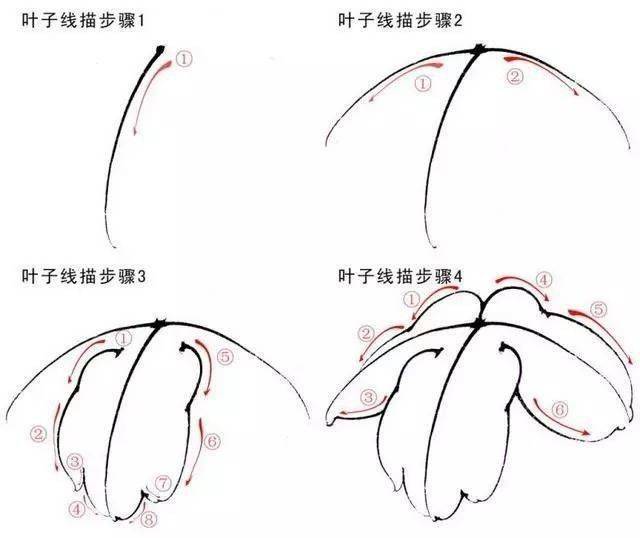工笔牡丹步骤画法图文教程,超全面,大爱!_花头_胭脂_叶子