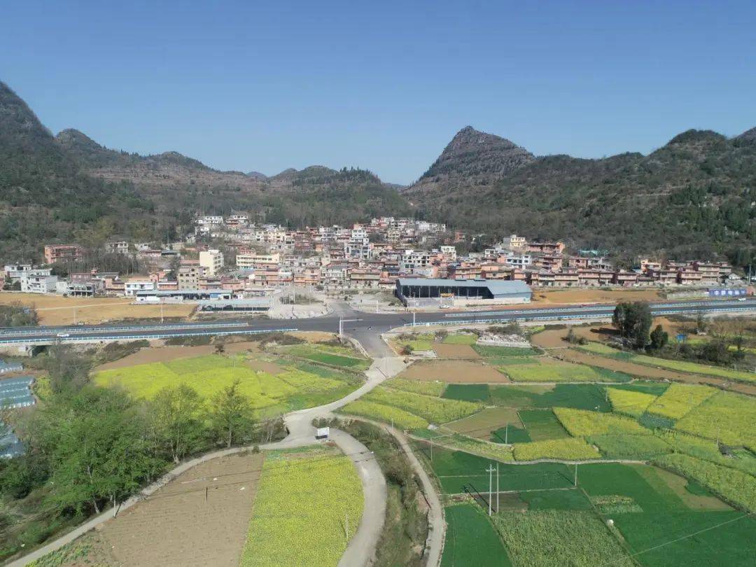 禁种铲毒正当时全力踏查守净土