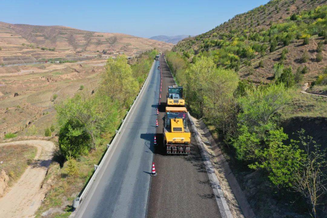 这些年,定西公路人植过的"绿"_风景_省道_苗木